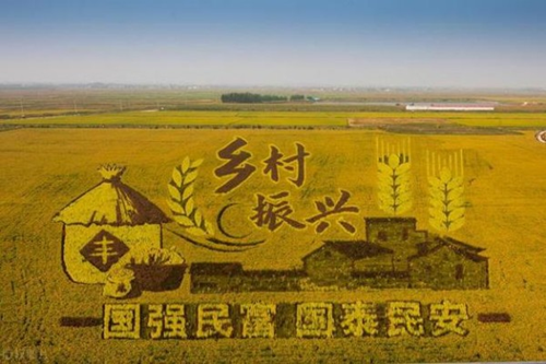 黑龙江省肇东市昌五镇四井村：乡村新能源 照亮振兴路(图5)